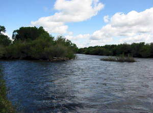 looking20downstream20from20treasure20island.jpg